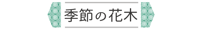 季節の花木