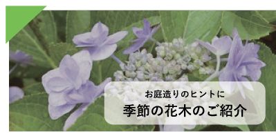 お庭造りのヒントに　季節の花木のご紹介